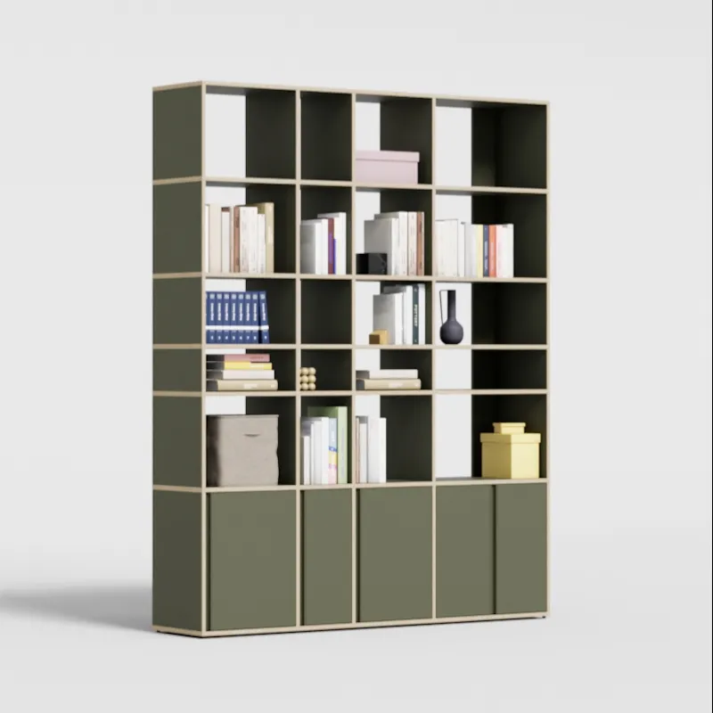 Bookcase in Moss Green with Doors and Bottom Storage