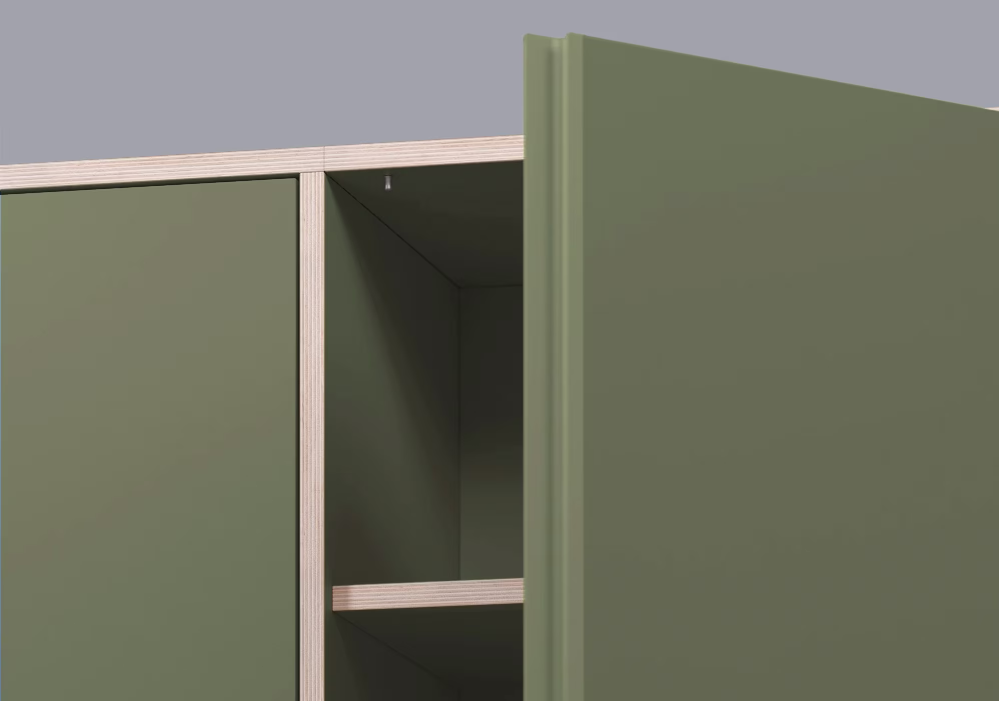 A bay of the bookcase seen straight on