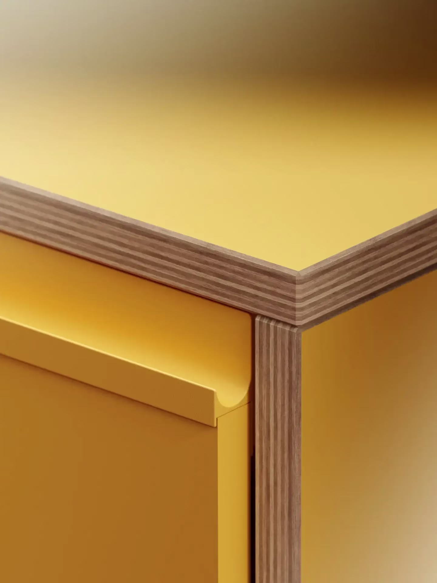 A detail of the bookcase’s shelf edge
